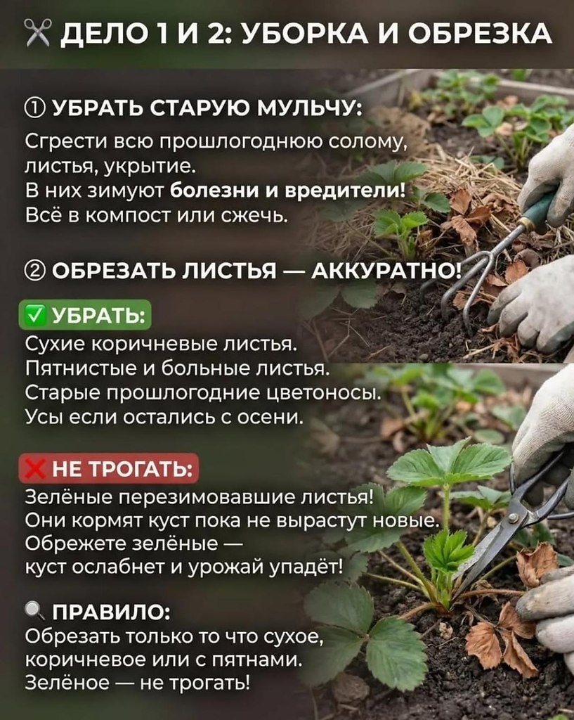 y�����������:7�����x����.��y�y�����x������������������������������������������y����! - 2