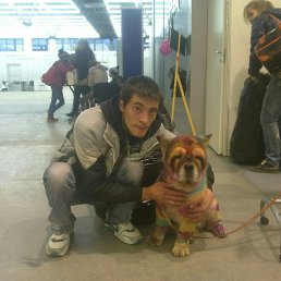 ���� ����������, 37 ���, �����