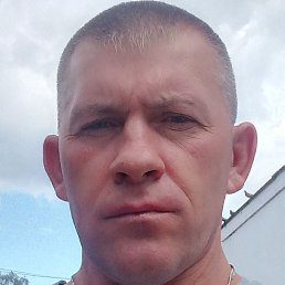 ����, ������������, 44 ����