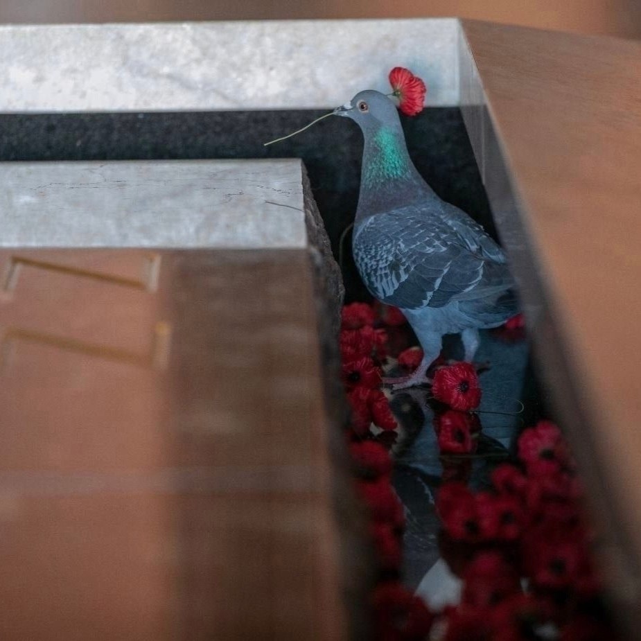 � ������� ������ � ��������� ������ �������� ������������ ��������� �� �������� �����, ���������� ... - 3