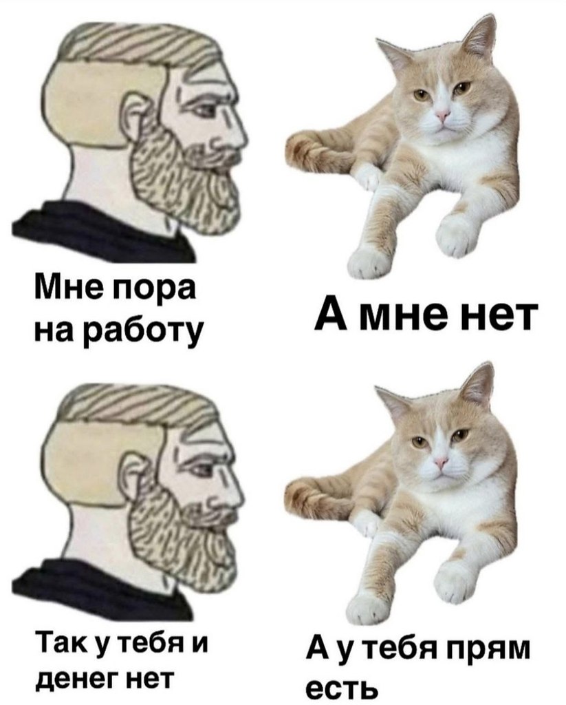  - 25  2025  08:24