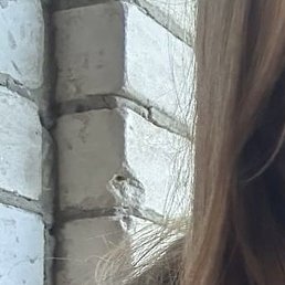 �����, ������, 18 ���