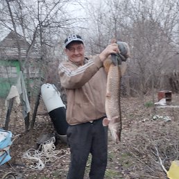 , 54, , - 
