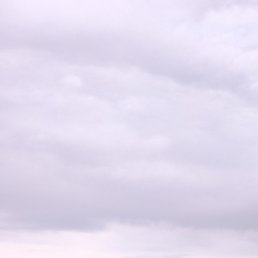 ������, ����, 47 ���