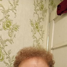 ����, 37 ���, ������