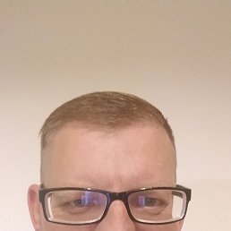 ����, 41 ���, ��������