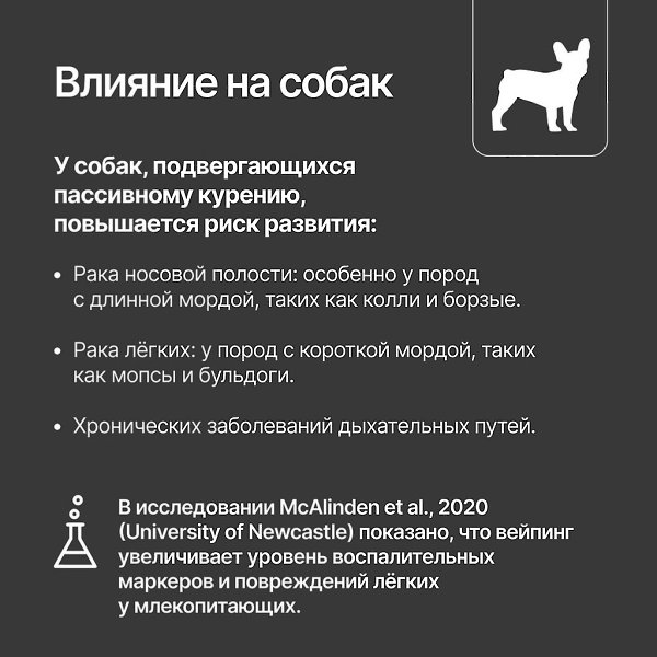 Курение рядом с домашними животными крайне опасно.Дым содержит множество токсичных веществ, которые ... - 4