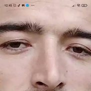 , 33 , 