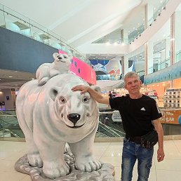 ��������, �����-���������, 46 ���