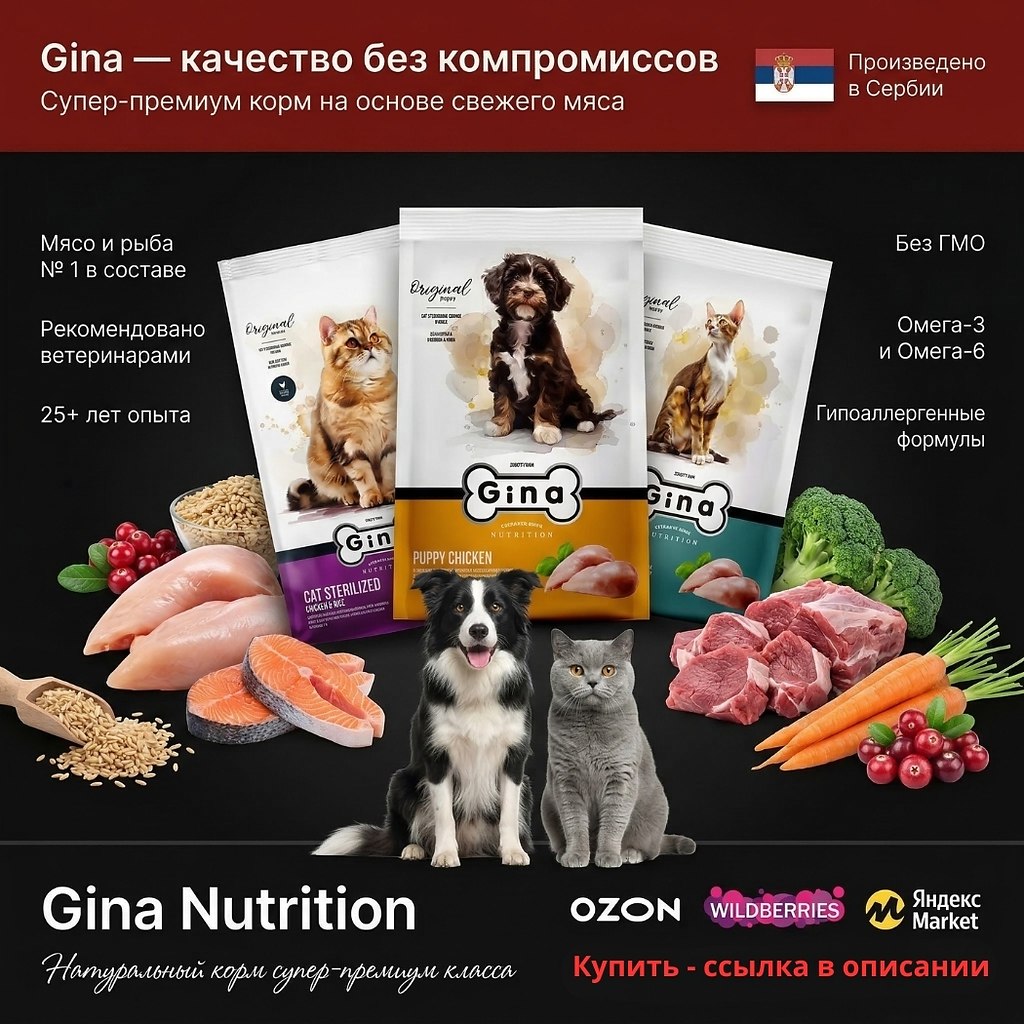 ��� ������� ����������� ������ ������! Gina Nutrition � �����-������� ����, � ������� ���� � ���� ...