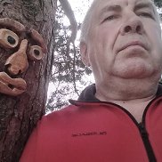 , 65 , 