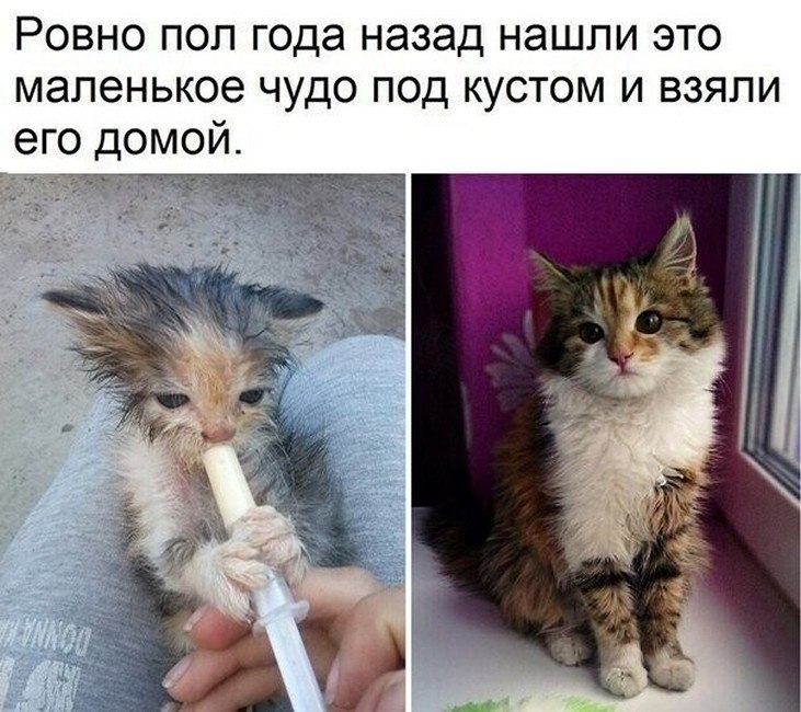 ? ,  ! - 7  2025  04:37