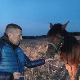 ���������, ����, 45 ���