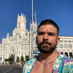 ������, 41 ���, ����