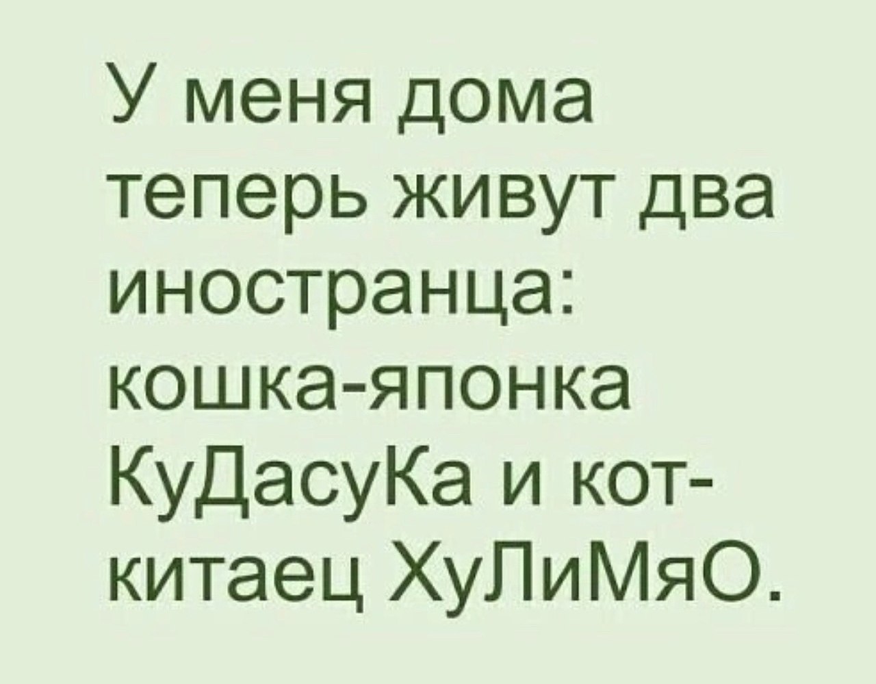 у меня дома живут два иностранца (97) фото