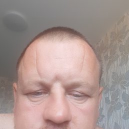 , 39, 