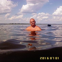 , 63, 