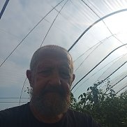 , 70 , 