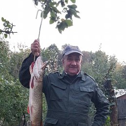 ���� ������, �����, 61 ��� - ��������� 29 ������� 2024