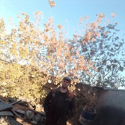 ������� ������, �����, 42 ����