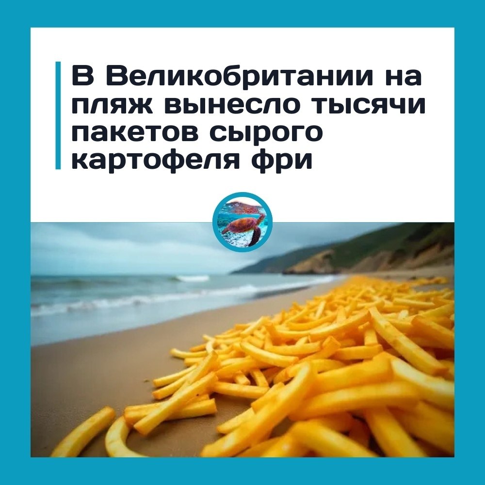 ��c��� �a�e�o� �ap�o�e�� �p� ���poc��o �a �epe� � ������.oc�e c����o�o ��op�a �a �o�epe��e oc�o��o�o ...