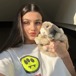 , 