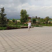 , 53 , 