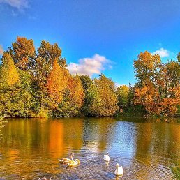 ��������, ������, 43 ����