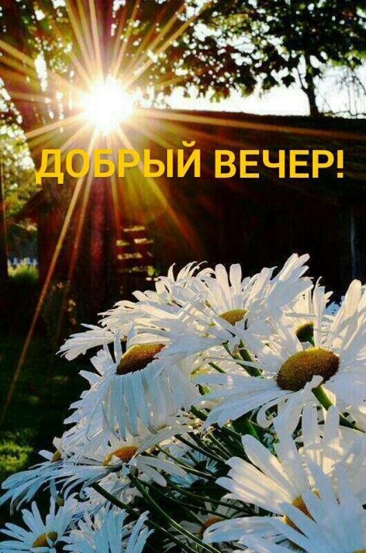 Не молода. Ещё жива. Ну в общим, всё нормально. Хочу не помнить я года, Но всё напоминает. ...Вот ...