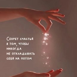 ���� �����, ����� - ��������� 15 ������� 2026