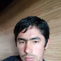 , 29, 