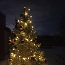 ���� �������, ������ - ��������� 17 ������� 2024 � ������ ���� ����������
