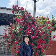 Галина, 63 года, Северская Галина, 63 года, Северская