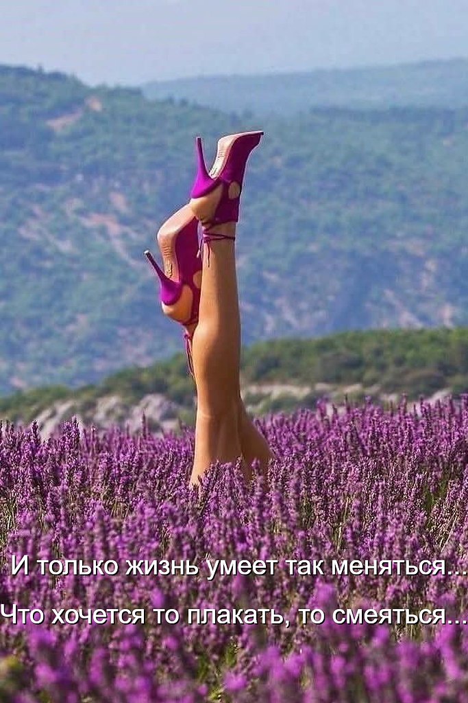 �������� ������ - 10 ���� 2026 � 07:44