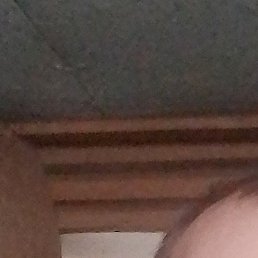 ������, ���������, 54 ����