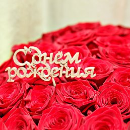 ��������, �����������, 46 ���