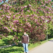 , 29 , 