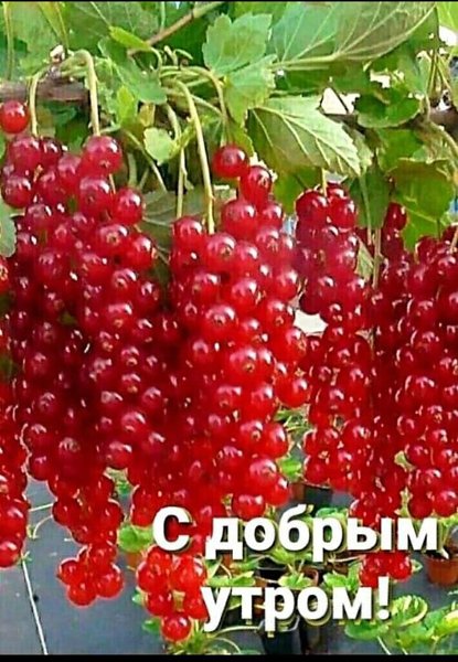 ***Victoria Viktorovna*** - 30  2024  05:40 - 2