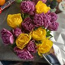 ���� ����������, ����������, 51 ��� - ��������� 10 ����� 2024 � ������ ���� ����������