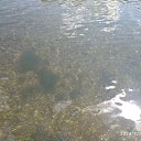 ���� ����, �����, 48 ��� - ��������� 10 ������� 2025 � ������ ���� ����������