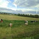 ���� �������, ��������, 47 ��� - ��������� 2 �������� 2025 � ������ �����-�����