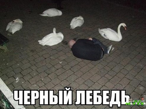  - 11  2024  06:18