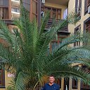 ���� �����, �����, 53 ���� - ��������� 29 ������� 2025 � ������ ������