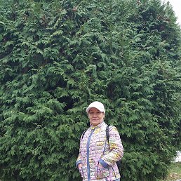 �������, �����������, 65 ���