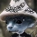 ���� ������, ��������, 25 ��� - ��������� 3 ������� 2024 � ������ ���� ����������