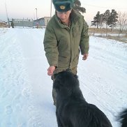, 55 , 