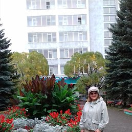 , 65, 