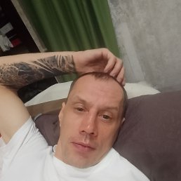 �����, 41 ���, ����������