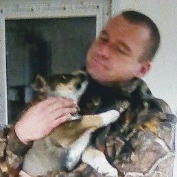 Greg, ������, 46 ���