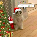 ���� ������, ����������, 26 ��� - ��������� 10 ������ 2024 � ������ ���� ����������